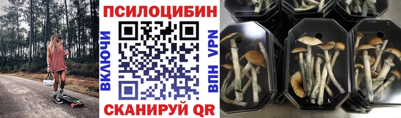 маркетплейс какой сайт  Таганрог  Галлюциногенные грибы прущие грибы  где купить наркоту 